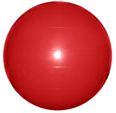 Мяч гимнастический FLEXTER 55 см
