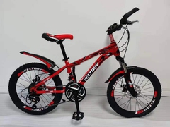 Велосипед детский Veltory 20D-908